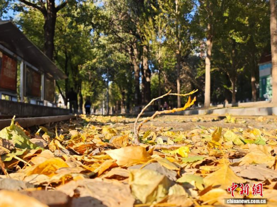 �S��54·��܉�܇(ch��)�ؾ�(xi��n)�h(hu��n)���������Σ���߅�L(f��ng)ò������(j��)�����S���~䁝M(m��n)·�������� ���z