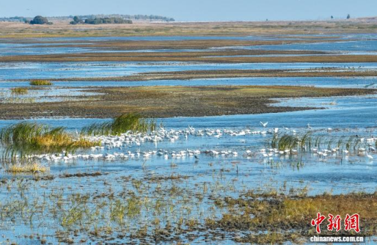 10��16��������ĪĪ����Ҽ���Ȼ���o�^(q��)��(n��i)�������ڑ�ˮ��(�o�˙C��Ƭ)�w��� �z