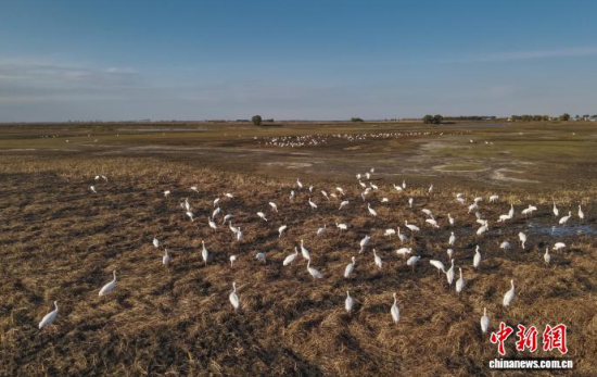 10��16�����ڼ���ĪĪ����Ҽ���Ȼ���o�^(q��)��(n��i)���Q����Ϣ��(�o�˙C��Ƭ)�w��� �z