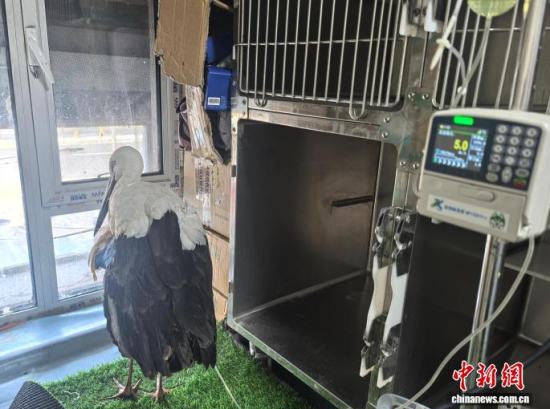 �܂��Ė|�����X���ڽ���ݔҺ�ί�����ʯ���� �z