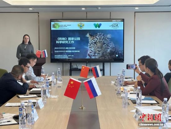 ���_˹���ҷ������o(h��)�|������(j��ng)�(y��n)�������� �z