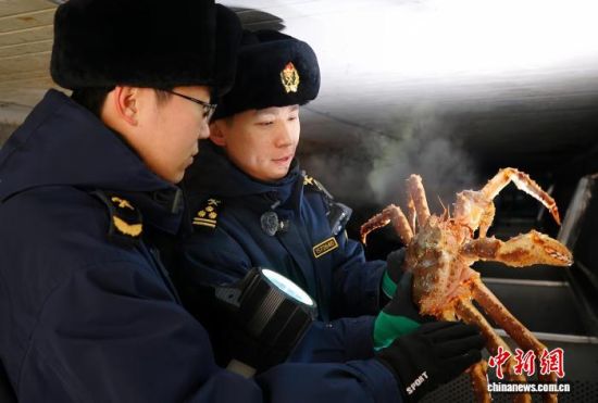 �L�����P(gu��n)���٬q�����P(gu��n)�P(gu��n)�T���M�ڵ���з�_չ��򞹤�����̽��V �z