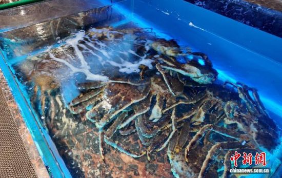 ���B(y��ng)����ĵ���з����߅��ί������ ���D