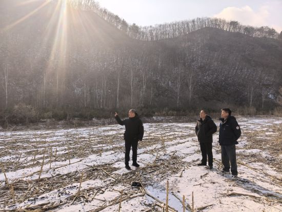 和龍市委宣傳部/供圖 和龍市委宣傳部/供圖